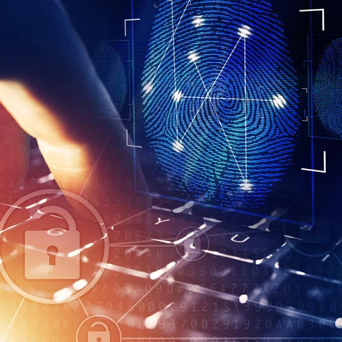 EXFO Solutions for Government
